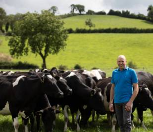 Alan Clarke and his cattle on his farm.
