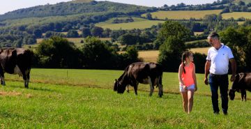 A father and daughter farming duo walking through a field of cattle.