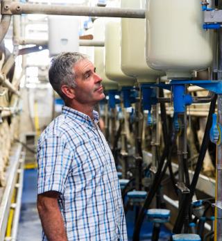A Lakeland Dairies milk supplier working in his milking parlor.