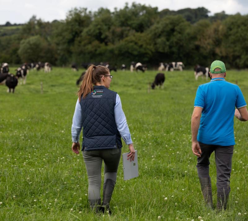 Susan Casey of Lakeland Dairies / Teagasc Joint Programme and Milk Supplier Alan Clarke walking through a field of cattle.