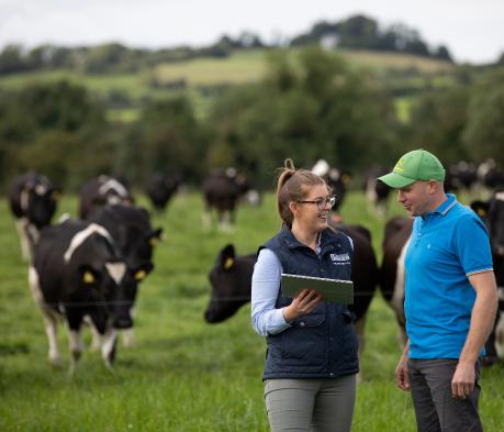 Milk supplier Alan Clarke with Lakeland Dairies team memeber Susan Casey in a field of cattle.