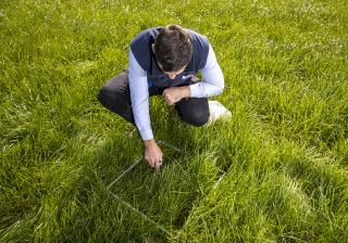 A Lakeland Dairies team member testing grass.