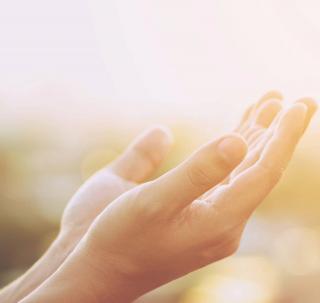 A pair of open hands.