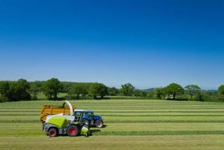 A harvester transferring freshly cut grass into a tractor and trailer.