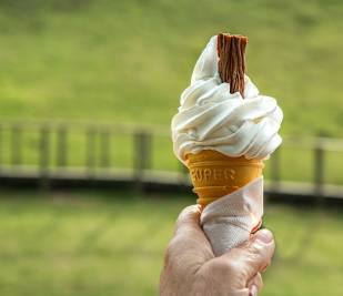 Ice-cream cone with flake