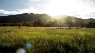 A scenic view of fields with mountains in the background.