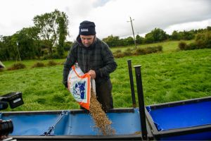 A farmer filling meal for his cattle.