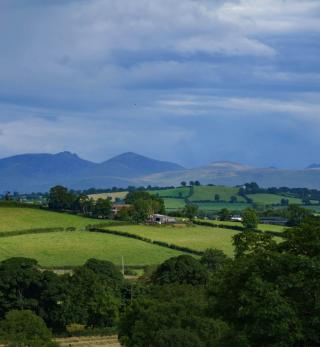 The Mourne Mountains.