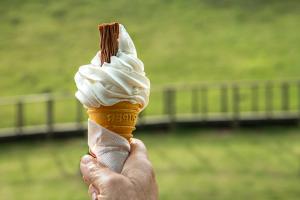 99 cone being held by hand in front of a green field