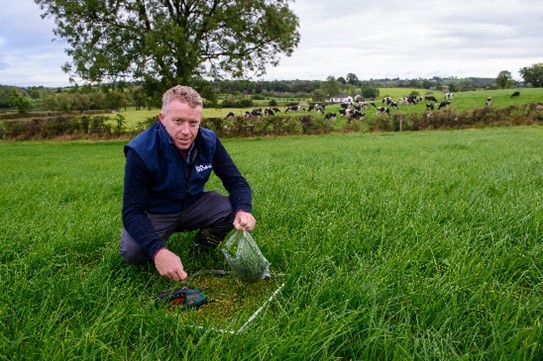 Samples of grass being taken.