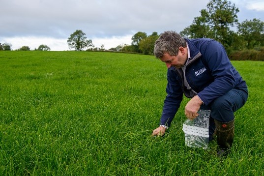 Forage Analysis being completed in a field.