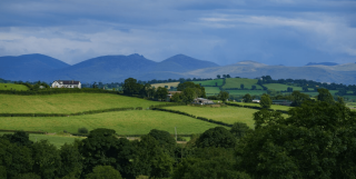 Rolling green fields on a summers day.